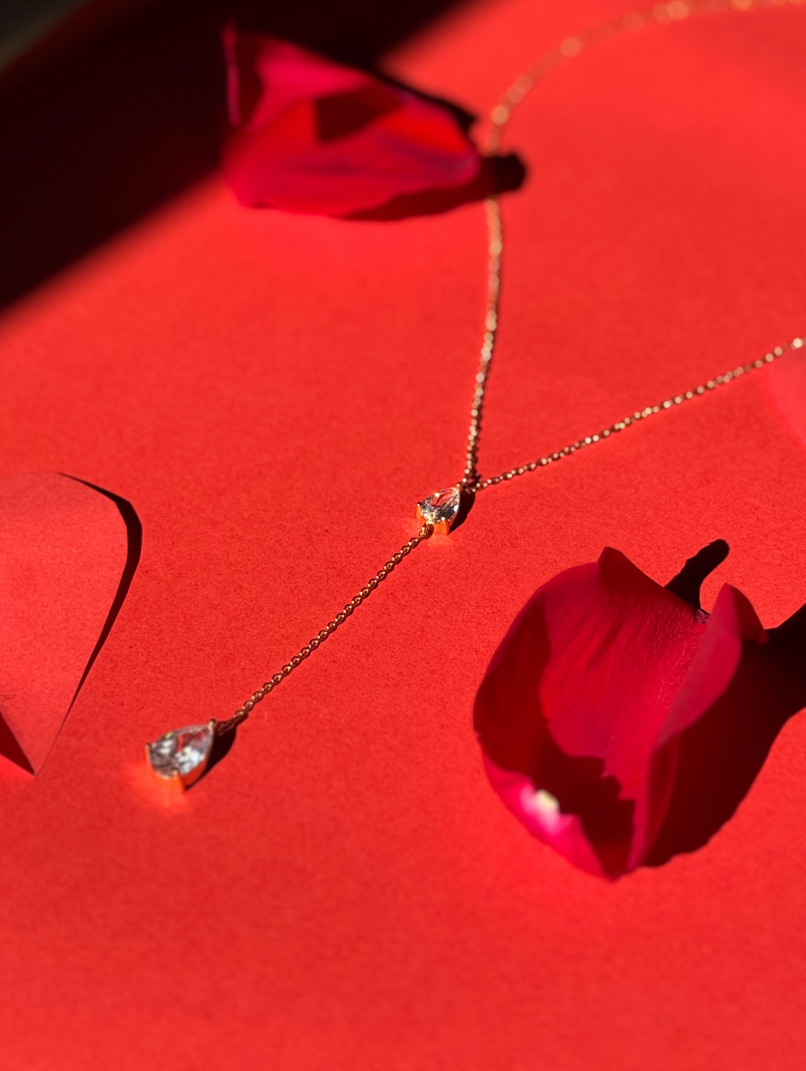 Amour GIFT🌹