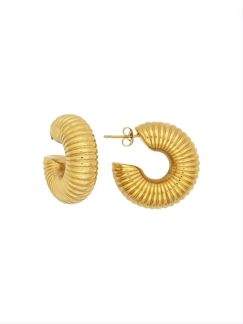 Troy earrings in gold